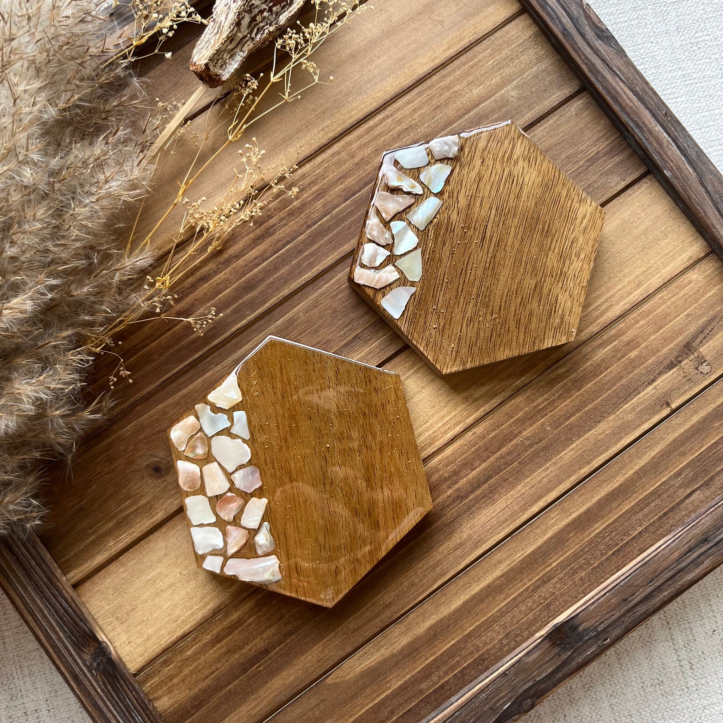 Sea Shell Table Coasters